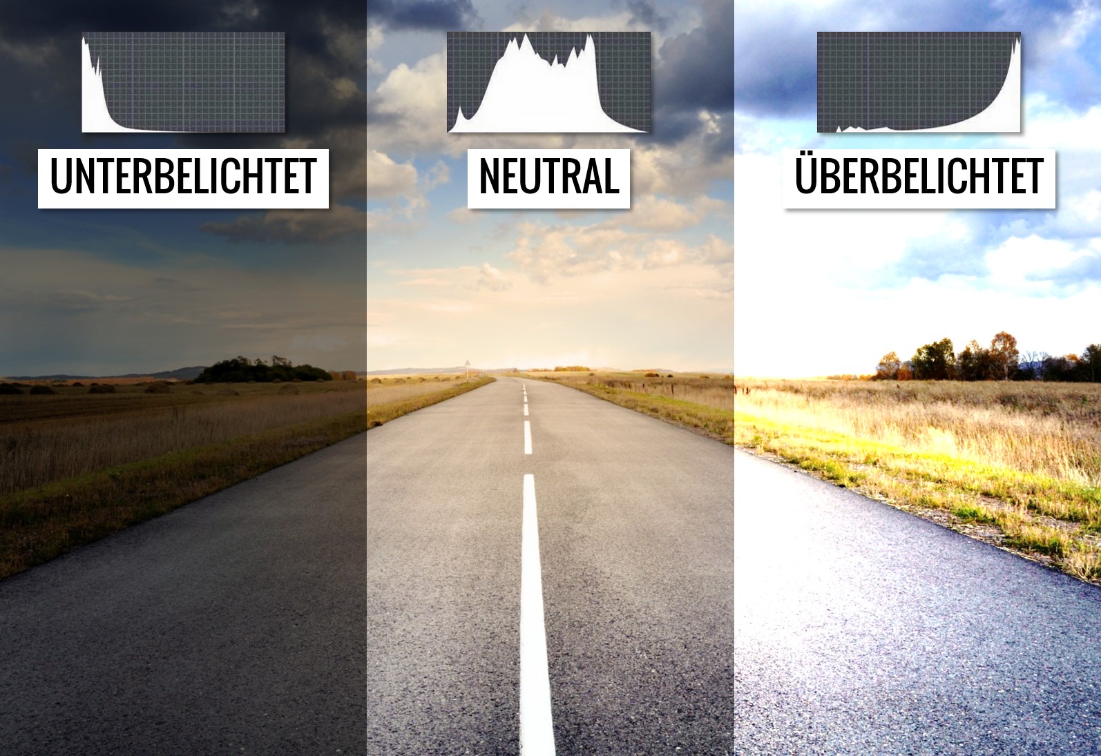 Woher kommen die Streifen am Display? Belichtung und Histogram