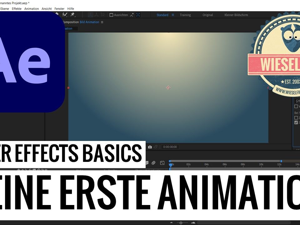 After Effects Basics