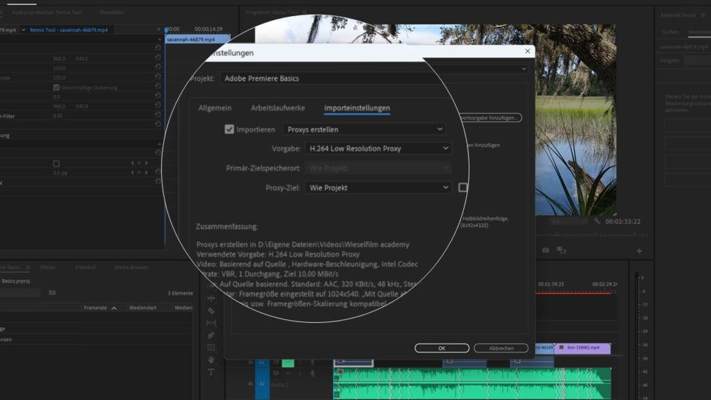 Proxy Eigenschaften in Adobe Premiere