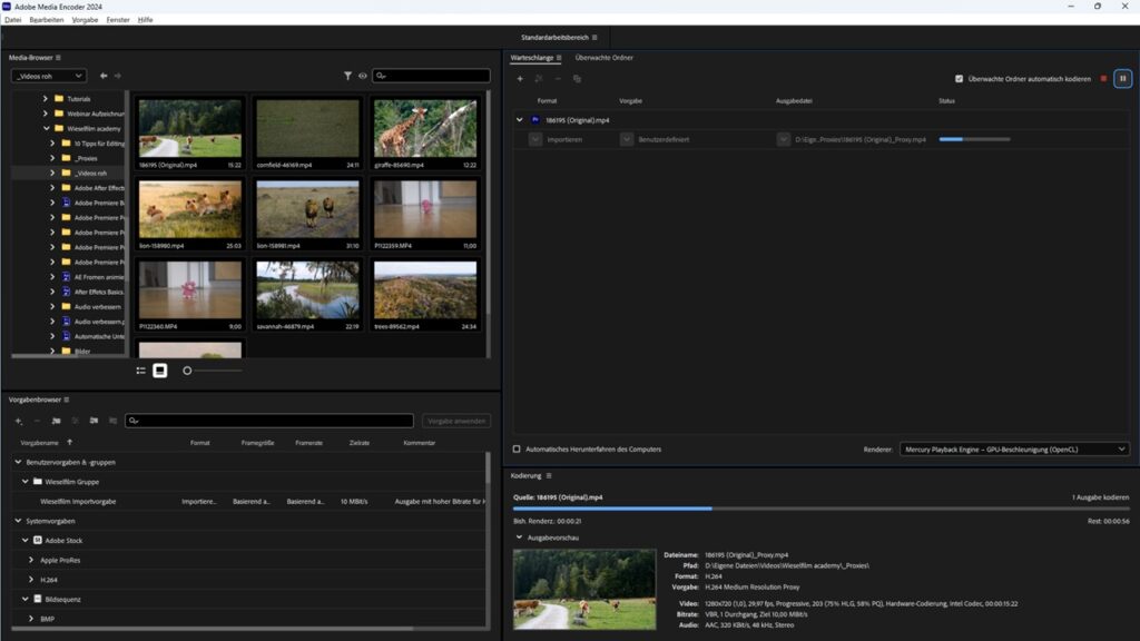 Media Encoder bei der Arbeit